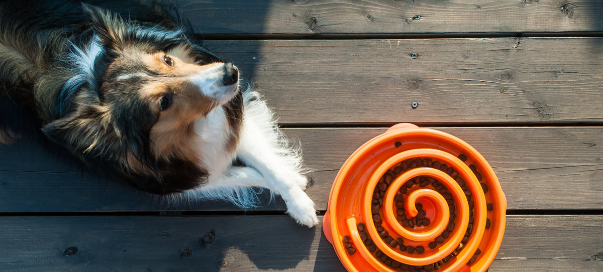 Outward Hound Fun Feeder Orange Swirl Dog Bowl