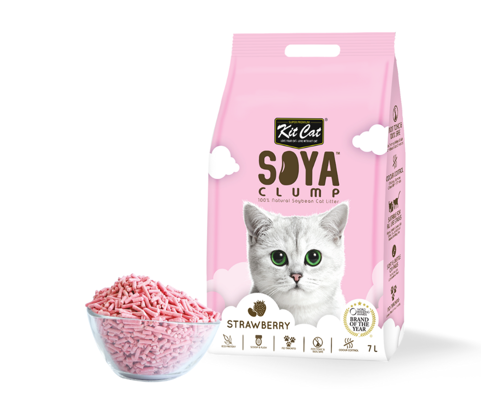 Cheap cat 2024 litter in bulk