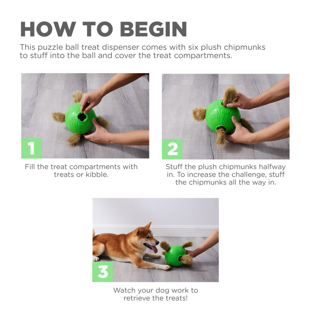 Dog puzzle sale ball treat