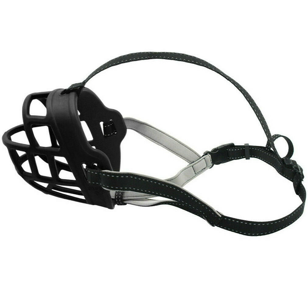 Dog basket store muzzle petco