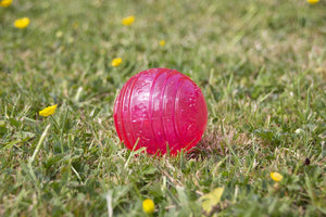 BioSafe Puppy Ball