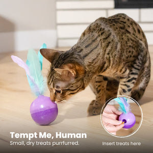 Feather Treat Stuffer