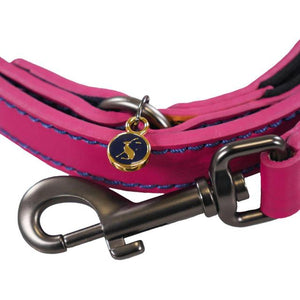 Rosewood Joules Pink Leather Dog Lead