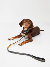 Load image into Gallery viewer, Rosewood &amp; Joules Navy Leather Dog Lead