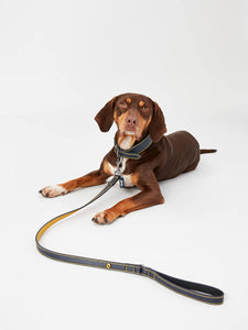 Rosewood & Joules Navy Leather Dog Lead