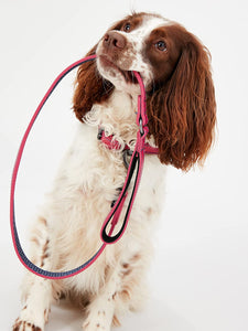 Rosewood Joules Pink Leather Dog Lead