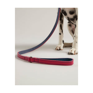 Rosewood Joules Pink Leather Dog Lead