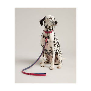 Rosewood Joules Pink Leather Dog Lead