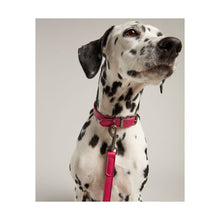 Load image into Gallery viewer, Rosewood Joules Pink Leather Dog Lead