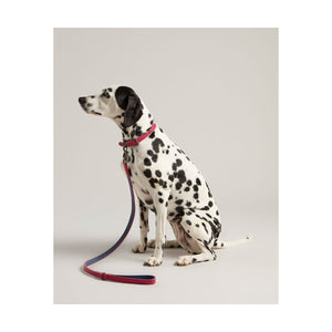 Rosewood Joules Pink Leather Dog Lead